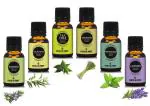 Earth N Pure Essential Oils (Rosemary, Eucalyptus, Tea Tree, Lemongrass, Pipperment & Lavender)Pack Of 6(15 ml each) |100% Undiluted & Natural