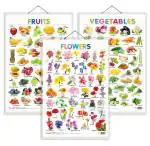 GO WOO Combo of 3 Fruits, Vegetables and Flowers Educational Posters | Charts for Kids