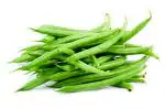 Trustbasket Multicolor Open Pollinated France Beans Seeds (1)