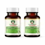 Maharishi Ayurveda Organic Ashwagandha Tablets 475 MG| Rejuvenate Mind & Body | For Vigor & Vitality | Anxiety and Stress Relief | Immunity Booster | 60 Tab X 2 Pack (120 Tabs)