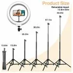 OSHEE STORE Professional (31cm) Dual Temperature LED Ring Light with Tripod Stand & Mini Tripod for YouTube, Photo-Shoot, Video Shoot, Live Stream, Makeup, Vlogging & More