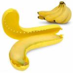TADAKNATH BANANA CASE LUNCH BOX PACK-1