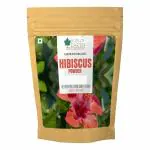Bliss of Earth 100% Pure & Natural Hibiscus Powder | 453GM | Makes Hair