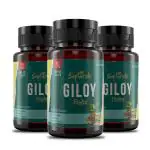 Saptarishi Giloy Tablets | Pure Giloy Leaf Extract | Blood Purifier, Antioxidant, Immune Support | Pack of 3 (72 Tablets Each)