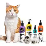 Wagging Tails Pets Grooming Kit Combo for All Breed Cat | Cat Shampoo+Massage Oil+Dry Bath+Paw Butter+Paw Spray