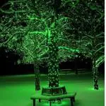 Agnija 42 LED Fairy String Lights - Decorative Indoor Outdoor Lighting With Warm White Twinkle Lights For Parties Wedding Patio Bedroom The Fairy Light To Give The Lights A Unique Look (Pack Of-1)