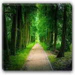 Art Factory Vastu Endless Path Painting Canvas Strecher Canvas 16 inch x 24 inch Painting (Without Frame)