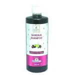 GAYATRI HERBALS PVT. LTD. Shikekai Shampoo - 500 ml