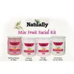 NATUALLY MIX FRUIT FACIAL KIT