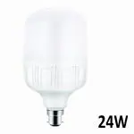 Gear-Up 24W High Wattage Cool white Led Bulb