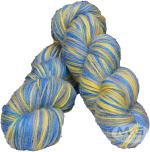 Simi Enterprise Multi, Blue Berry Wool Oswal Multi Hank Hand Knitting Wool, Art Craft Soft Fingering Crochet Hook Yarn, Needle Knitting Yarn Thread Dye Sm-Oib, 500 G