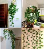 Bs Amor Green Artificial Garland Money Plant Wall Hanging Leaf Bail Creeper 6.5 Ft (Pack Of 3)