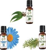 botanic garden Combo of Chamomile,tea tree,Eucalyptus oil for vaginal infections-10ml each (30 ml)