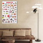 Surmul Multicolor Sunboard, Vinyl Medium Insects And Kids Room Class Room Wall Sticker