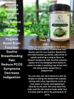 Botanical Bliss Mint Powder - 100gm