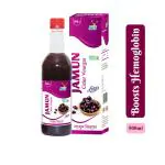 SBS Jamun Cider Vinegar - 100% Organic Herbal Vinegar - 500 ml