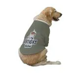 Ruse Its My Birthday Bitches-2 Printed Grey Pure Cotton Round Neck Full Sleeves Technical Dog Jacket - L