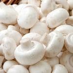 Platone Mushroom NXX-2667(200 G)