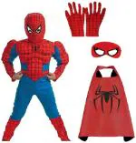 FANCY DRESSESWALE Spiderman Muscle Kids Costume Wear (4 - 5 Years)