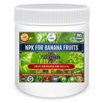 Erwon NPK For Banana fruits (200 gm banana fruits NPK) for more fruiting.