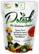 go garden All Purpose Npk Potash Fertilizer 0-0-60 Plant Health Developer 0.45 kg - Powder