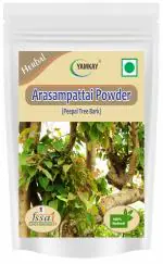 Yamkay Arasam Pattai Powder Peepal Tree Bark Ficus Religiosa 100 gm