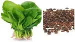 PLATONE Spinach /Regional /Palak /Poi /Batsala / Basale Spinach Seeds - Vegetable Plant Seeds for Home Gardening(Pack Of1)