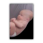 Pnf Paper Cute Baby Girl Boy Children Wall Poster-787, 12 X 18 Inch