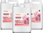 Gladiolus Rose Hand Wash Moisture Shield Germ Protection Can, 5 L Each (Pack Of 3)