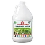 Erwon Lucky Bamboo Booster, Premium Essential Powerful Liquid Fertilizer for the Best Growth of Lucky Bamboo Plants with Growth Nutrients and Charged Micro-Organism (500 ml)
