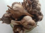 Uzhavan Unavu - Kodaikanal - Poombarai malai poondu / Hill garlic (More medicinal value) / lahasun / Lasoon / Lehasun - 250