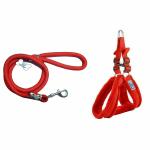 THE DDS STORE Heavy Duty Dog Leash Stylish Nylon Rope Leash with Soft Fur Nylon Harness Set Dog Cord Training Leash for Small to Medium Sized Dogs-2 Piece Set (XX-Large, Red)