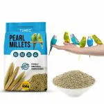 Tunai Pearl Millet Perfect Bird Feed 950g