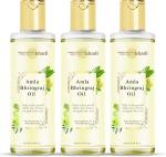 Parwati Gramudyog Herbal Products Herbal Hair Oil, Khadi Onion Black Seed (300ml)