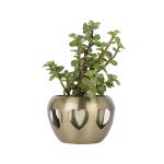 Ferns N Petals Jade Plant In Copper Metal Pot 3.3X4.5 inch