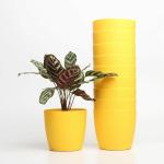 MorningVale Little Cool Pot, (Size- 4 Inch, Pack of 10), Yellow