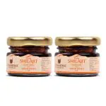 UPAKARMA Ayurveda 100% Ayurvedic, Original & Pure Shilajit/Shilajeet Resin Form with Safed Musli to Boost Performance, Power, Stamina, Endurance, Strength & Overall Wellbeing For Men and Women - 20g (Pack of 2)