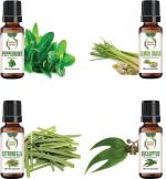 botanic garden Lemon grass,Peppermint,Citronella,Eucalyptus Oil for Anti-Fungal-10ml each (40 ml)