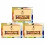 KA Khadi Ark Herbal Natural Handmade Mix Fruit Bath Soap 125gm each Pack of 3