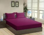 STEDO 250 TC Cotton Double Striped Fitted (Elastic) Bedsheet (Pack of 1, Wine)