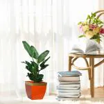 Ecofynd Red Metal 8 inches Midland Planter (Pack of 2)