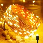 DesiDiya Copper 100 led Fairy String Lights with USB Powered Led Light (10 Meters , Warm White) Pack of 1