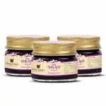 UPAKARMA Ayurveda Shilajit Resin with Ashwagandha - 10g (Pack of 3)