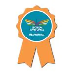 Festiko Team LSG Badges (Set of 10 Pcs), Ipl Theme Badges, Cricket Party Props, Ipl party supplies, Ipl Party Wearables