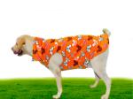 Ooyelik Double Layer Fleece Winter Dog Jacket Yellow Teddy Desgine M Size for Dogs & Cats