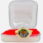 R G Mart Ashtadhatu Mahakaal Rudraksha With Para Gold Plated Brass Ring, Mahakal Ashtdhatu Rudraksha Ring for Unisex, Adult (Size - 18)