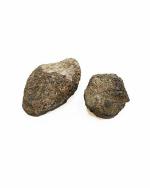 Shubhanjali store Reiki Garnet Raw Stone