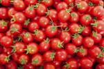 Fa Nursery Yellow Organic Tomato Grape Seeds (25 Per Packet)