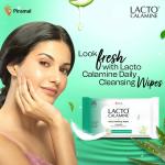 Lacto Calamine Daily Face Cleansing Wipes with Aloe Vera | Pack of 9