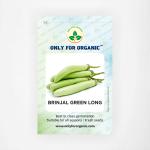 Only For Organic Brinjal Green Long Seeds (50 Nos)